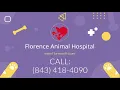 Veterinarian Florence SC