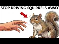 10 Everyday Things Driving Your Squirrels Away Forever Stop Now