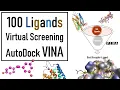Molecular Docking Autodock VINA Virtual Screening VINA Docking tutorial Bioinformatics