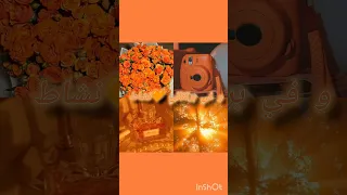 في الاحمر طاقة أغنية ري بون بون لايك حلوه احبكم تعليق اكسبلور 