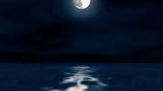 قالوا عليكي وانا مهما يقولوا بشوفك غير كل اللي اتقال 