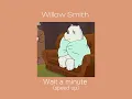 Download Lagu Willow Smith - Wait a minute (speed up)
