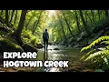 Gainesville s Hidden Gem A Hiking Tour of Hogtown Creek Trail