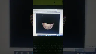 Python Turtle Graphics Spiral Circle Shape