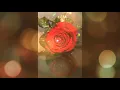 Song Ya Salam - The singer The Egyptian - Ehab Tawfik - 2005