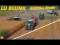 So macht Häckseln Spaß! LU Blunk bei der 4000ha Maisernte Maishäckseln beim 220ha Kunden Fendt 850