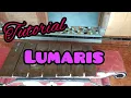 Download Lagu Tutorial Lumaris#lancaranlumaris#lumaris