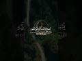 Download Lagu Shocking Truth of Disbelievers 💔 | Surah Al-Jathiyah 7-8 | Yasser Al Dosari #quran #shorts #islam