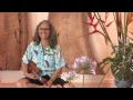 Download Lagu Ka'apuni 'O Moloka'i - Zelie Duvauchelle
