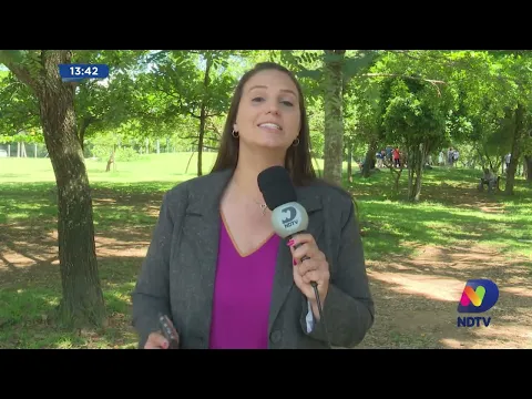 Tráfico: polícia apreende 20 quilos de drogas em dois bairros em Blumenau