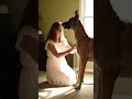 Best couple so much love #doglife #puppy #dogs #animals #video #shorts #love