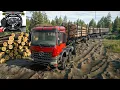 Lagu Extreme Mud Road Challenge | Heavy Multiple Log Teailer | SnowRunner | Logitech G29 | #1071