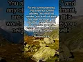 Download Lagu Romans 13:9