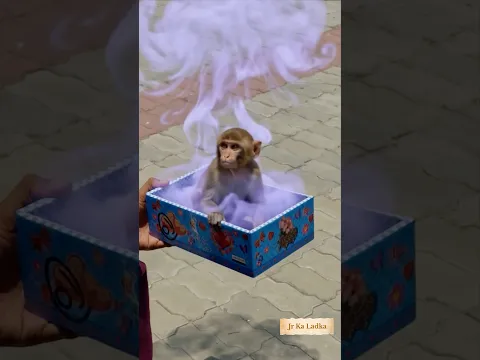 Mujhe mila ek magical box 📦🐵🦁| #viralshorts 🔥 #shorts #trending #ytshorts #youtubeshorts