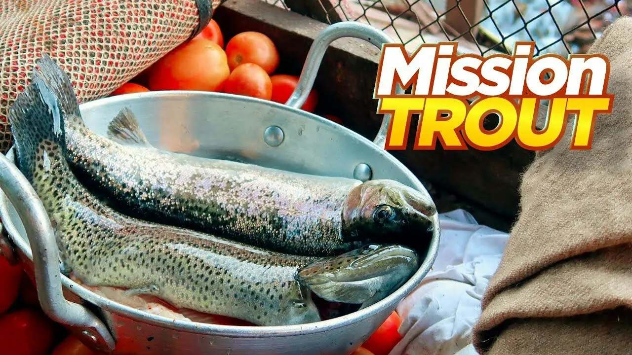 Most Expensive Trout Fish in Pakistan, Rs.2500/KG | Live Cooking at Waterfall | Pakistan Street Food