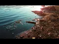 Volcano Choir - Byegone Music Video