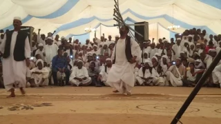 فرقة أبو حريرة 