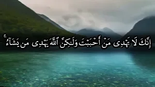 إنك لا تهدي من أحببت ولكن الله يهدي من يشاء الآيات 55 56 من سورة القصص للشيخ ياسر الدوسري 