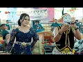 Download Lagu Loro Ati 2 - Putri Cebret ft Petruk - Supra nada - Bap Audio Live Gondangmanis