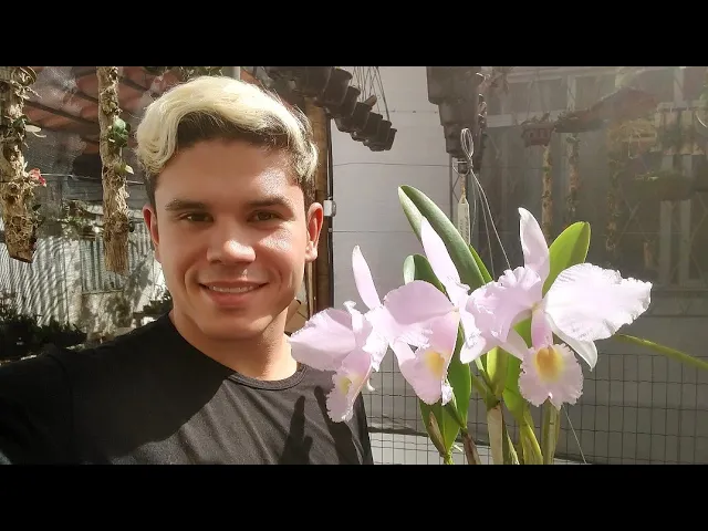 FLORAÇÃO DE ORQUÍDEAS, DICAS DE CULTIVO E AGRADECIMENTOS