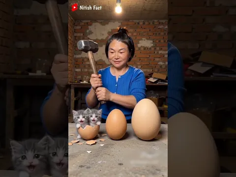 Ande Se Nikli Billi 🐱😱 ~mini wood toy woodworking art skills /wood /hand crafts/ #shorts