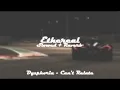 Download Lagu dyzphoria - can't relate (slowed + reverb)