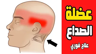 العضلة المسببة للصداع وتقل خلف الرأس وكيف تعالجها فورا علاج الصداع وجع الرأس 