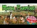 Ingenious Techniques of Maya Farming