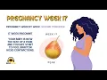 Download Lagu 17 weken zwanger? De baby groeit snel! Een verrassing ter grootte van een peer en wat je NU kunt ...