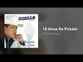 El Tigrillo Palma - 15 Años De Prisión (Audio)