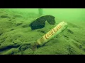 Diving at Lake Lanier