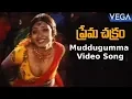 Download Lagu Prema Chakram Movie Songs | Muddugumma Thoti Video Song | Nishanth | Payal