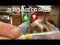Review of Terramycin Antibiotic Ointment Eye Infection Treatment For Pets