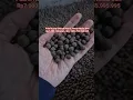 Download Lagu LANGSUNG DARI Pabrik Kopi Bubuk Murni. Harga Mulai Dari Rp7.000 120Gram.