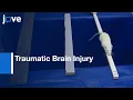 Spatial Working Memory Assessment in Traumatic Brain Injury Protocol