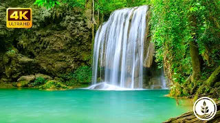 Relaxing Waterfall Sounds for Deep Sleep🌿 Sleep ❘ ASMR Water ❘ 10HRS The Sound Of Relaxation