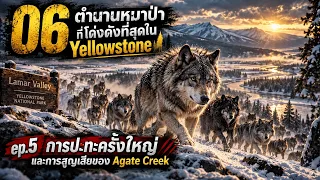 06 ตำนานหมาป่าที่โด่งดังที่สุดใน Yellowstone | EP.5 การปะทะครั้งใหญ่ และการสูญเสียของ Agate Creek