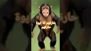 حارقهم  انا ايوة حارقهم  اغاني  اكسبلور ترند  عدوية شعبان دندنها