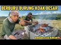 Lagu BERBURU BURUNG KOAK BESAR‼️HASIL BURUAN LANGSUNG KITA PANGGANG🔥JOSGANDOS MAKKYUSSS😋✅