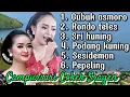Download Lagu CAMPURSARI COKEK SRAGEN TERBARU GUBUK ASMORO RONDO TELES SRI HUNING