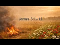 Taming the Tongue A word-for-word song of James 3 1-12 KJV