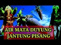 Lagu AIR MATA DUYUNG JANTUNG PISANG LANGSUNG TERBUKTI