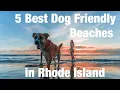 Top 5 Best Dog Friendly Beaches In Rhode Island