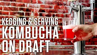 Dear Friends, Today I have shown how you can do Kombucha Second Fermentation to make perfect flavore. 