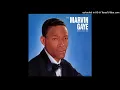 Marvin Gaye - Pride and Joy (Alternate Vocal)