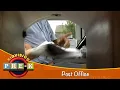 Post Office Virtual Field Trip KidVision Pre-K