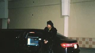 MEXIKODRO DOIN RIGHT VISUALIZER 