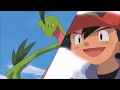 Download Lagu Ash's Treecko And Loudred Evolve
