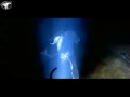 Download Lagu A.K.-S.W.I.F.T. - Light In Me (1997)