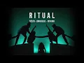 Download Lagu Tiësto, Jonas Blue, Rita Ora - Ritual (Extended Mix)